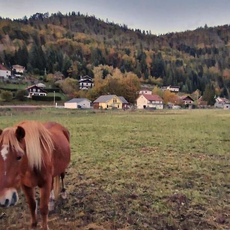 Le Vivaldi, Au Coeur Du Massif Vosgien Avec Terrain De Petanque Rochesson Exterior foto