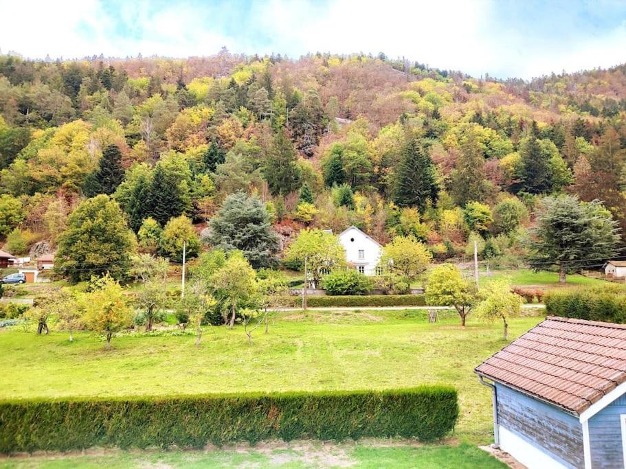 Le Vivaldi, Au Coeur Du Massif Vosgien Avec Terrain De Petanque Rochesson Exterior foto